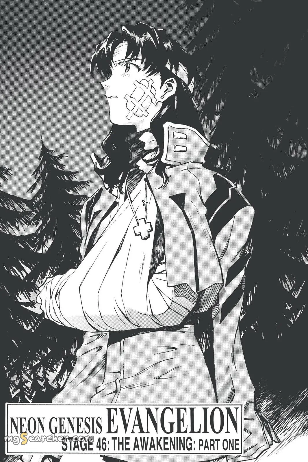Read Neon Genesis Evangelion EN Manga Online