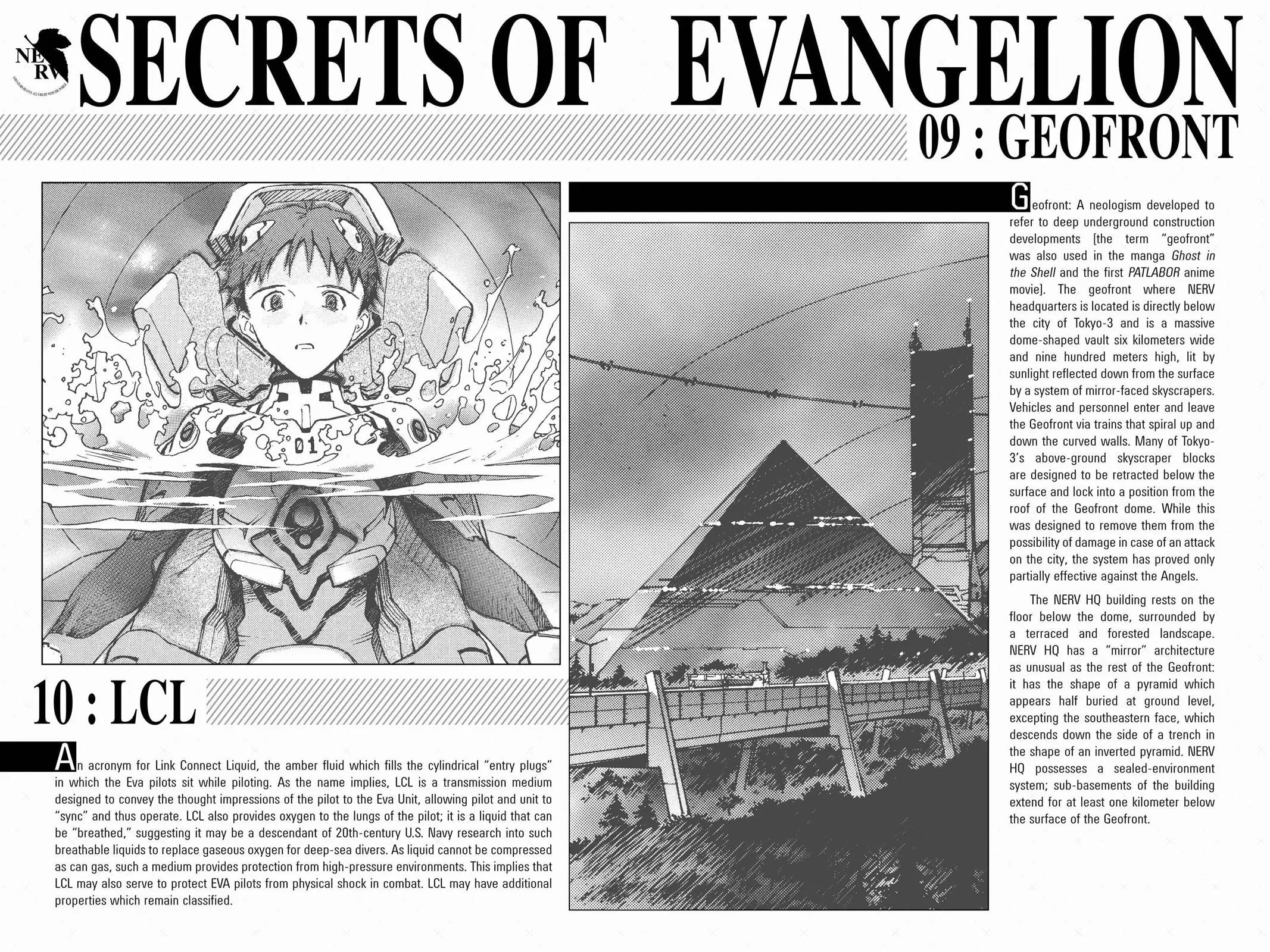 Read Neon Genesis Evangelion EN Manga Online