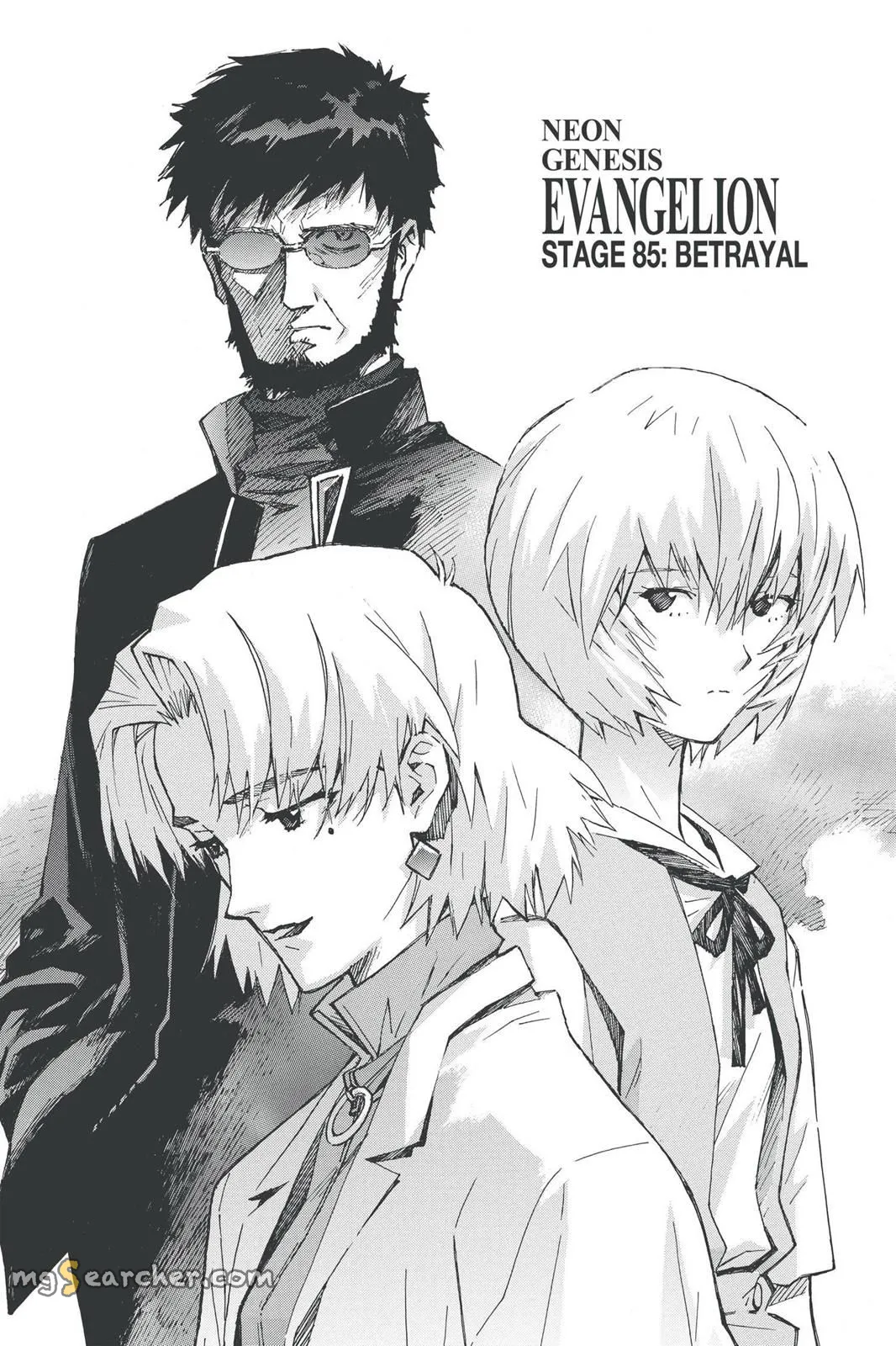 Read Neon Genesis Evangelion EN Manga Online