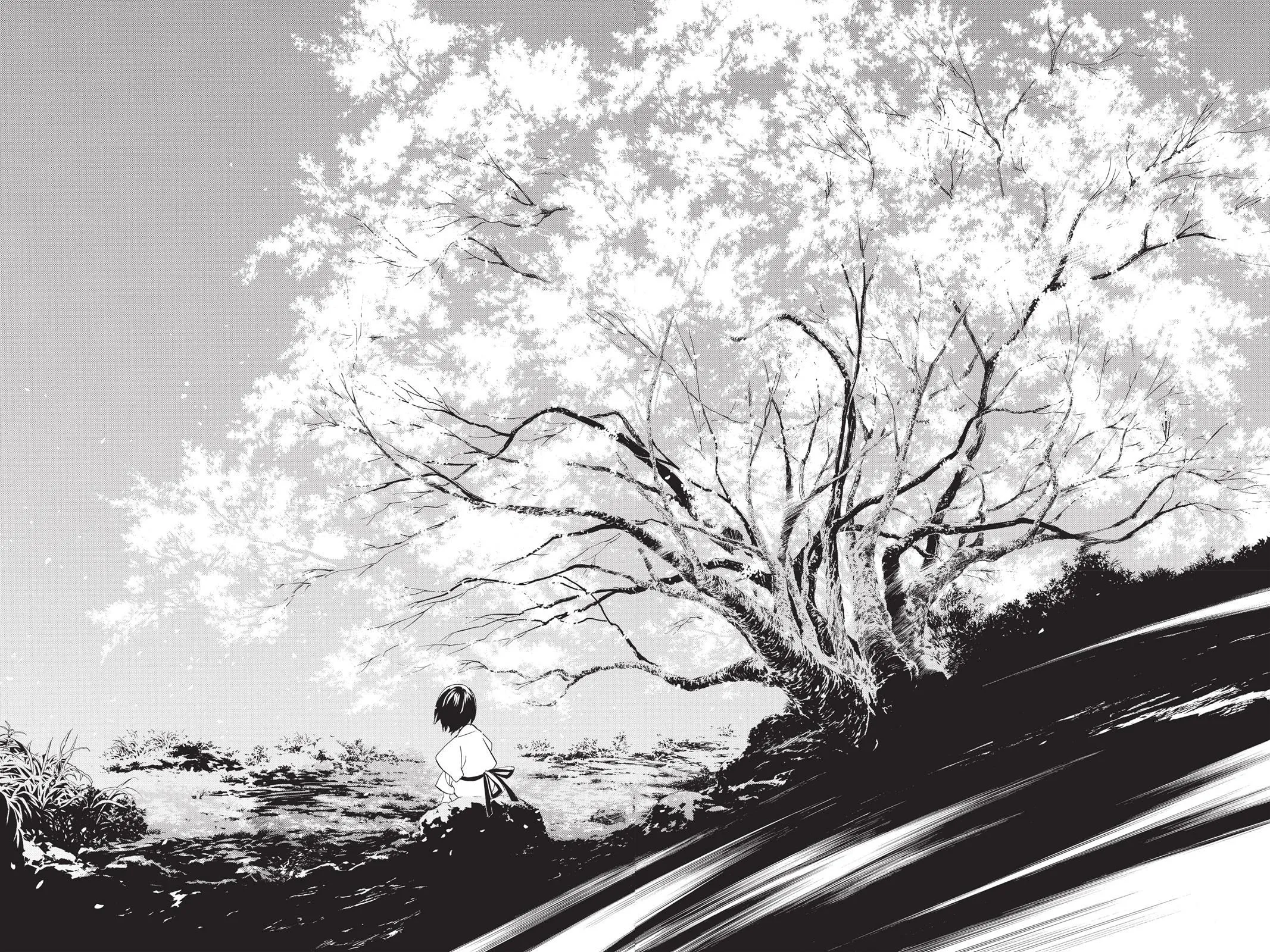 Read Noragami EN Manga Online