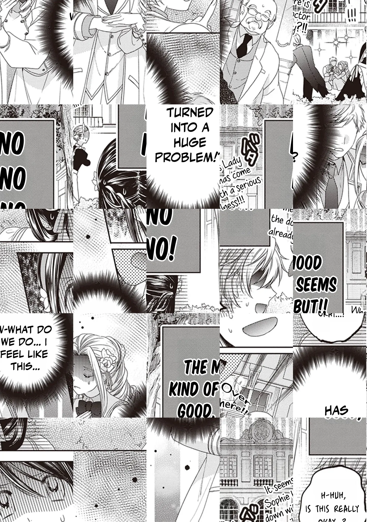 Read Okubyou na Hakushaku Reijou wa Momegoto wo Nozomanai EN Manga Online