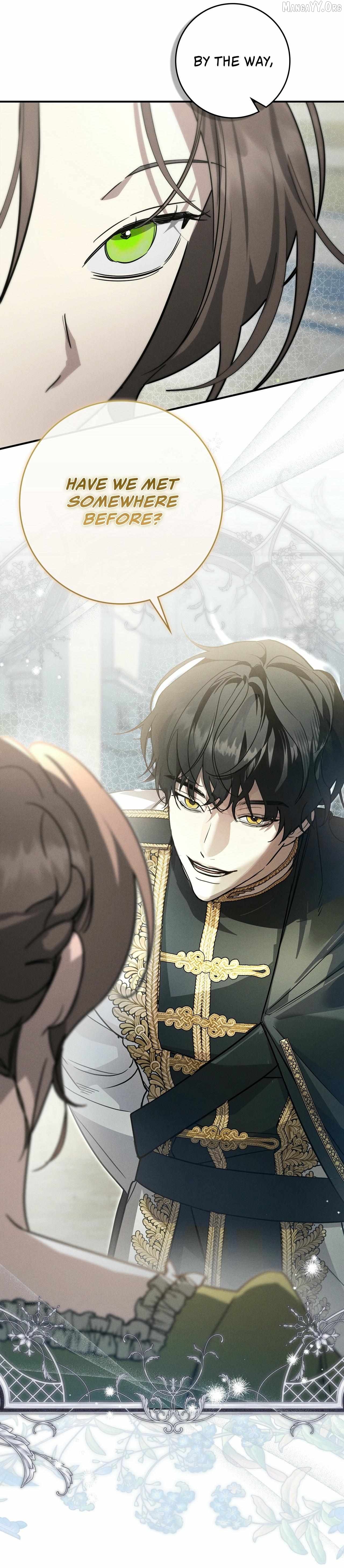Read Once an Assassin, Now a Royal Nanny EN Manga Online