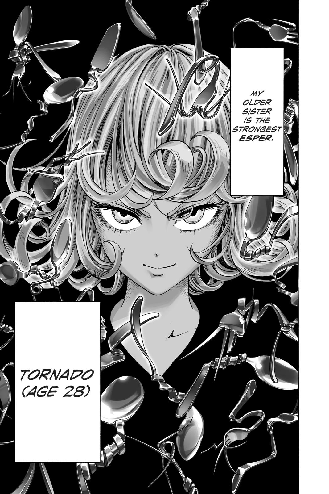 Read One-Punch Man EN Manga Online