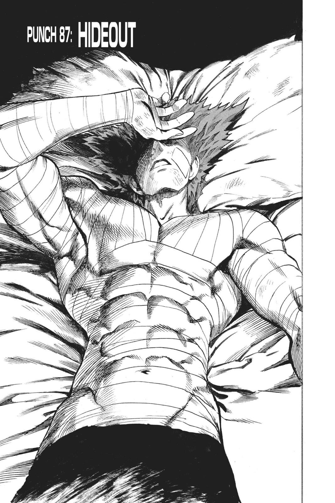 Read One-Punch Man EN Manga Online
