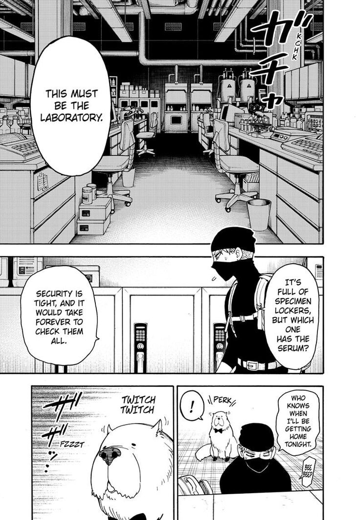 Read Spy X Family EN Manga Online