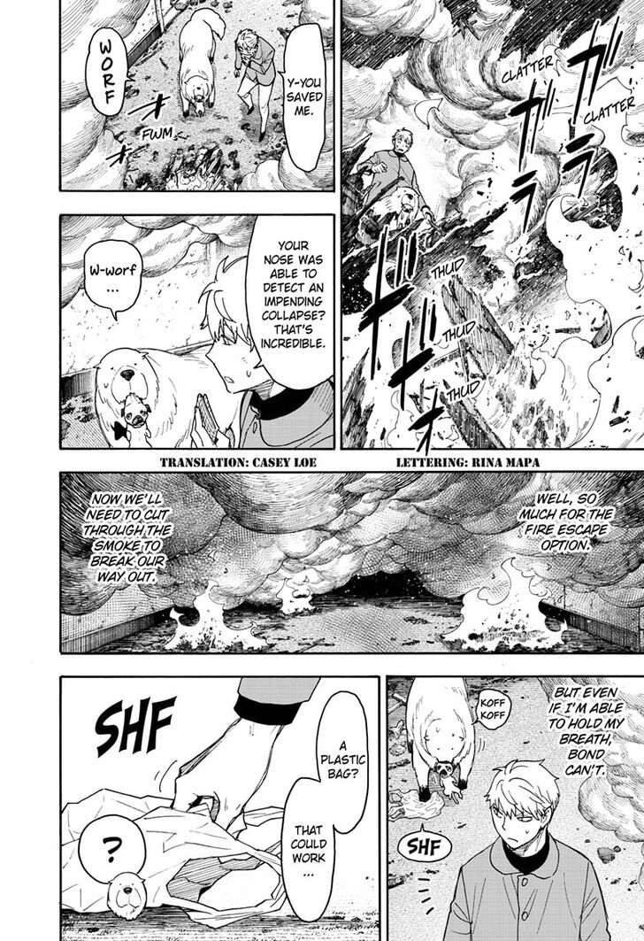 Read Spy X Family EN Manga Online