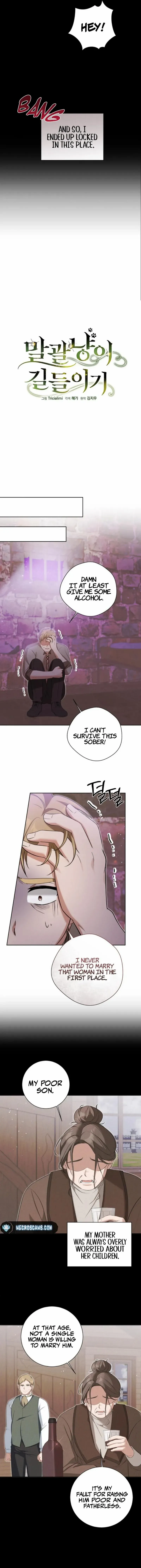 Read Taming the Shrew EN Manga Online