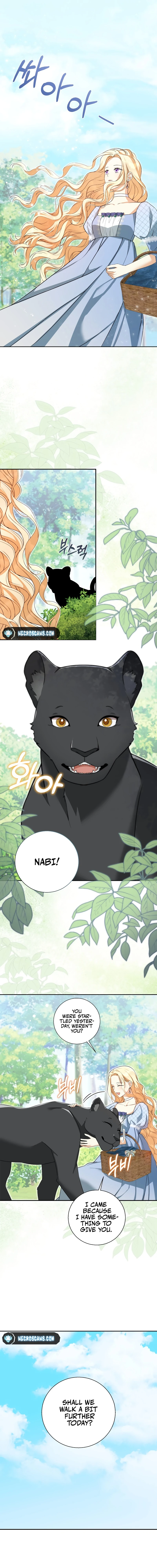 Read Taming the Shrew EN Manga Online
