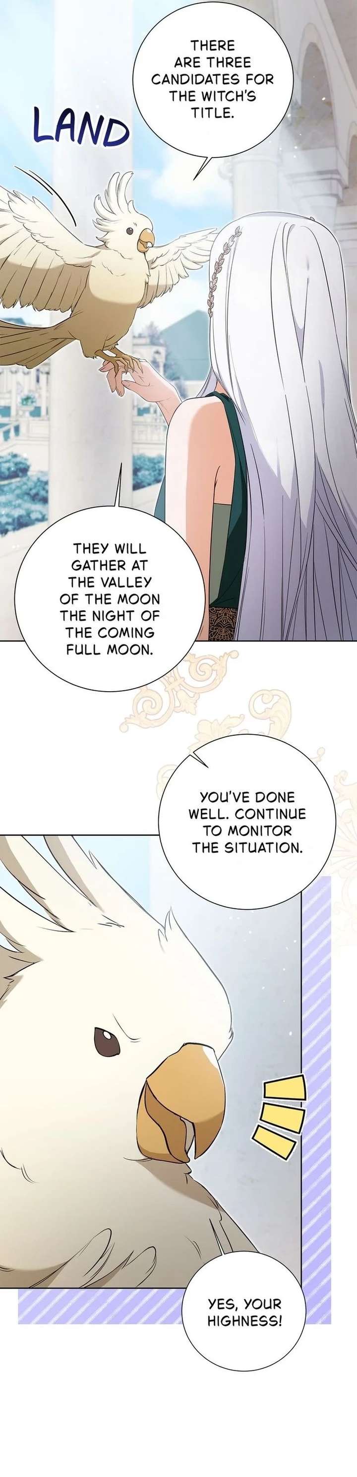 Read Taming the Shrew EN Manga Online