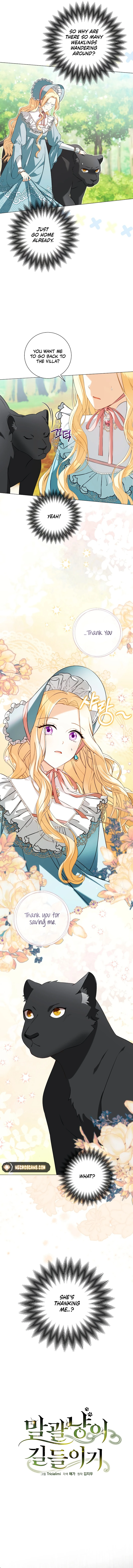 Read Taming the Shrew EN Manga Online