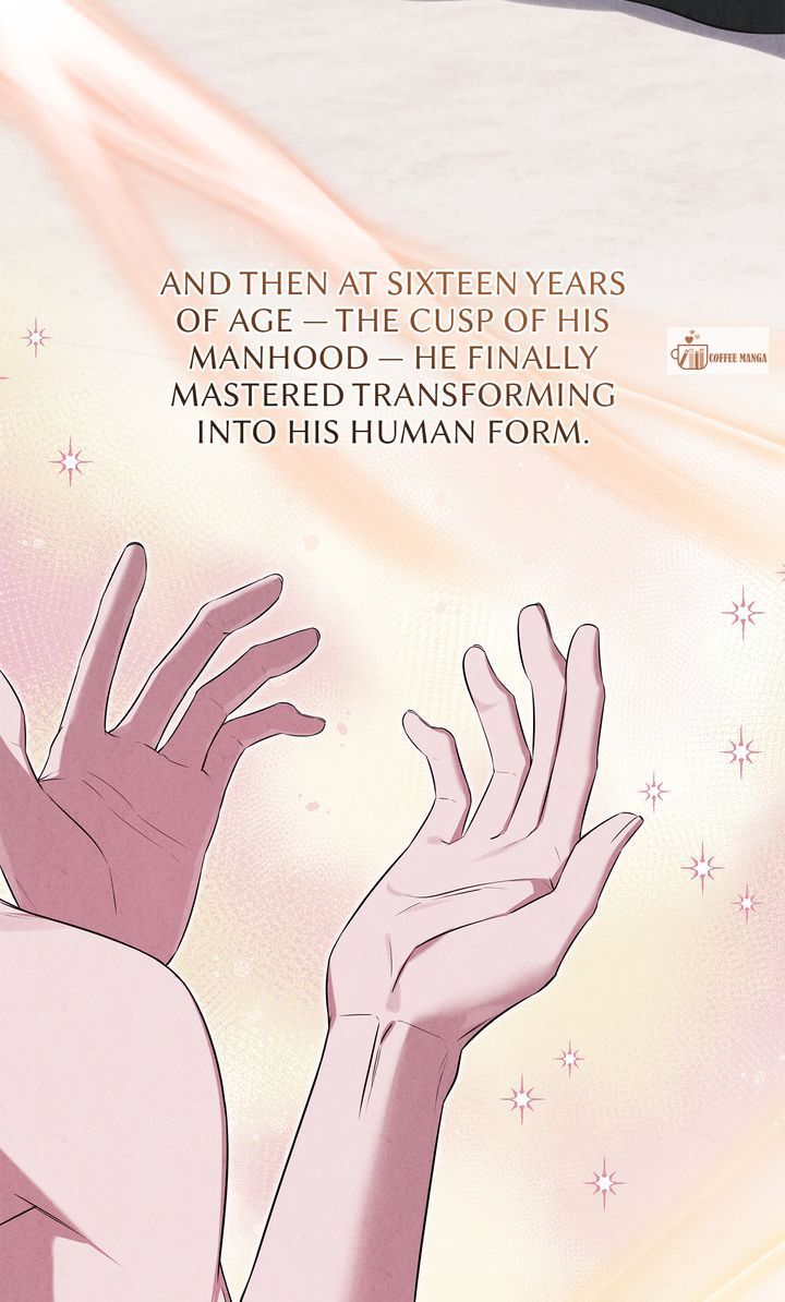 Read Taming the Shrew EN Manga Online