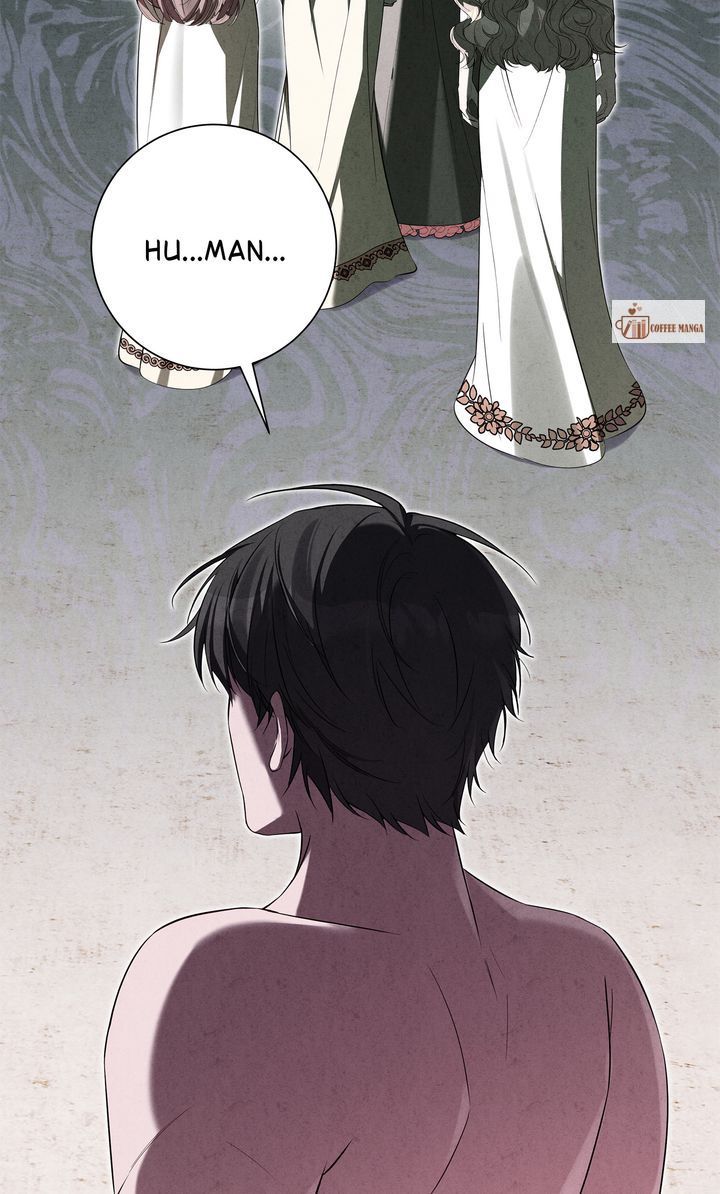 Read Taming the Shrew EN Manga Online