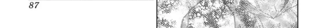 Read Tamon's B-Side Manga Online