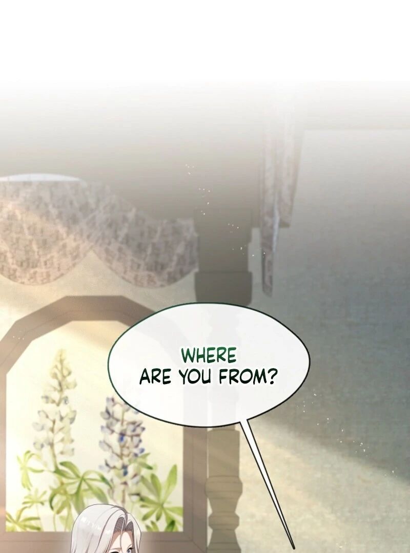 Read The S-Class Hunter Doesn't Want to Be a Villainous Princess EN Manga Online
