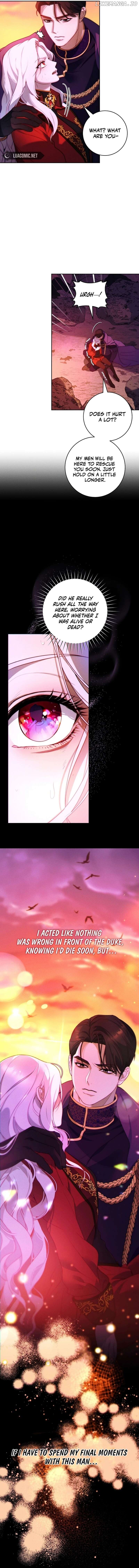 Read This Marriage Will Surely Succeed EN Manga Online