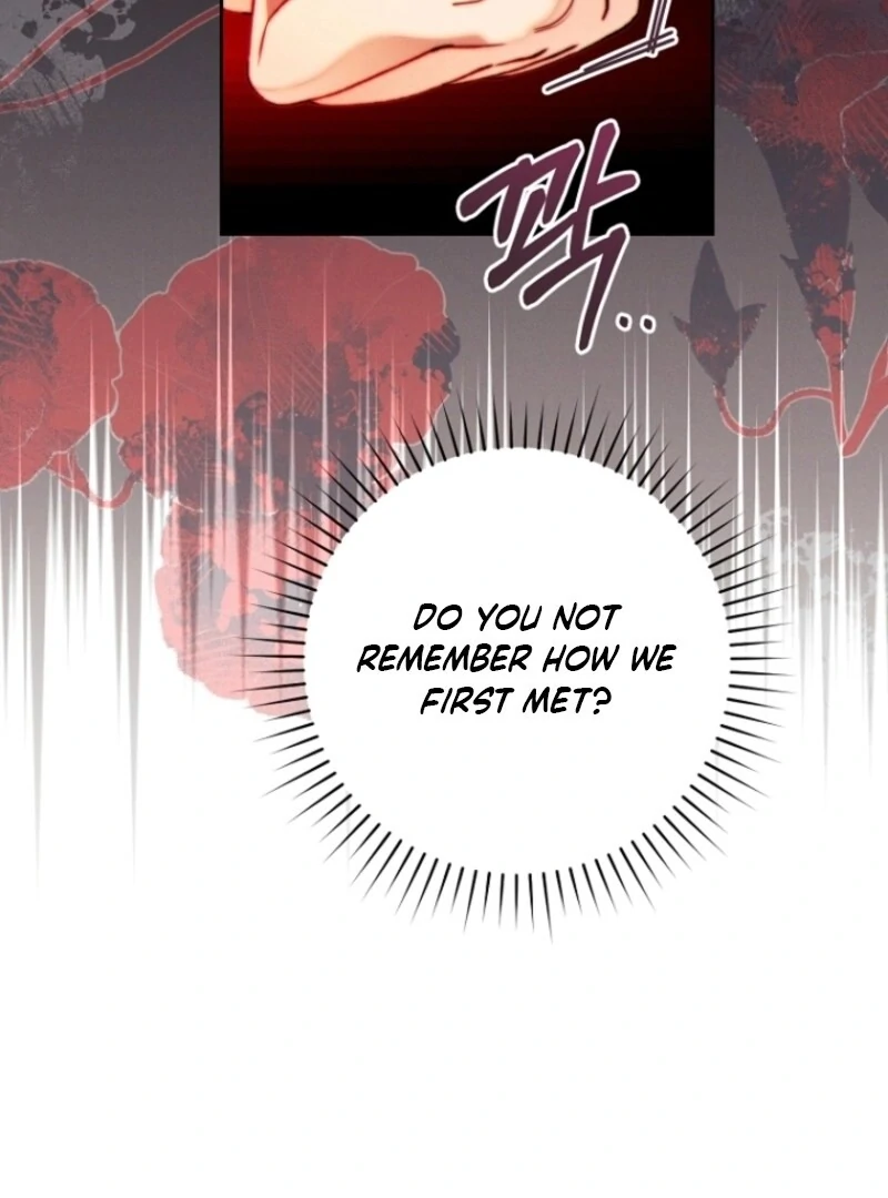 Read This Marriage Will Surely Succeed EN Manga Online