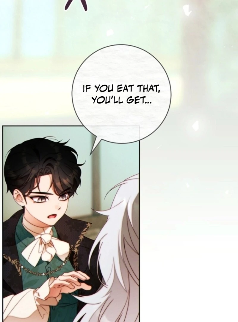 Read This Marriage Will Surely Succeed EN Manga Online