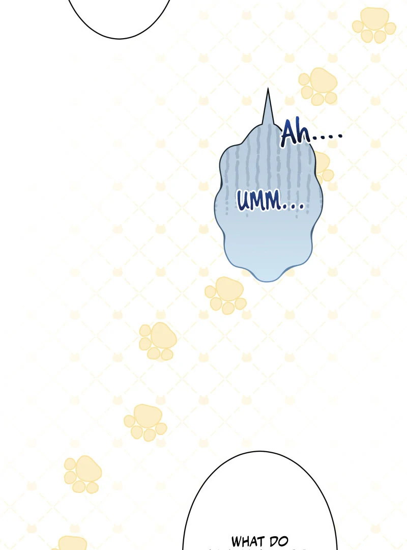 Read Too Much Regeneration! Now the King Obsesses Over Me EN Manga Online