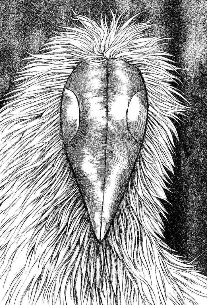 Read Toriko EN Manga Online
