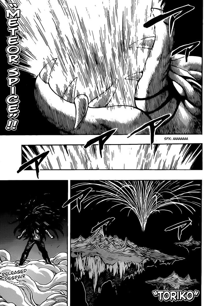 Read Toriko EN Manga Online