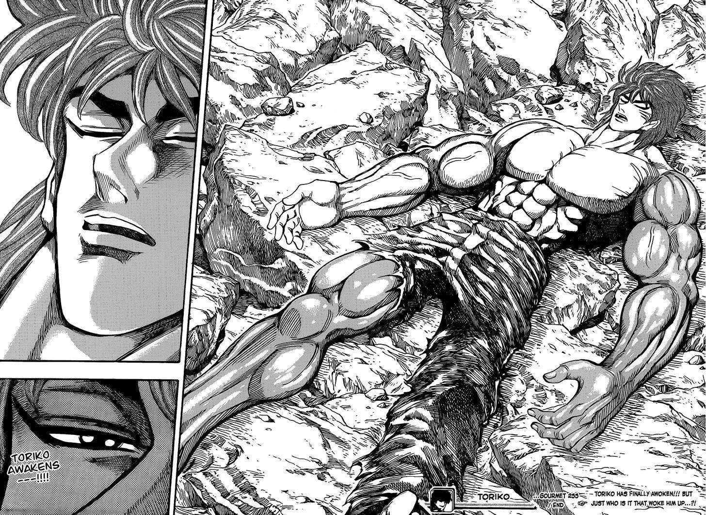Read Toriko EN Manga Online