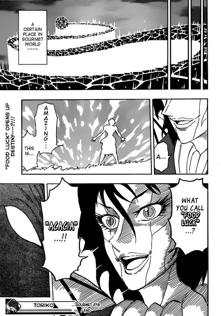 Read Toriko EN Manga Online