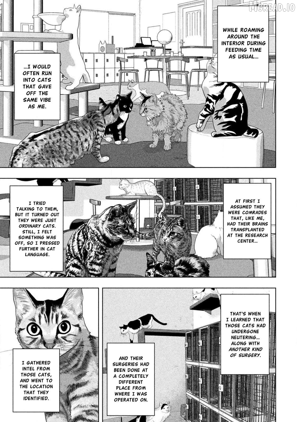 Read Under Ninja EN Manga Online