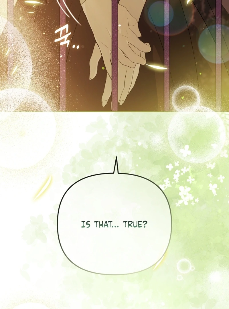 Read You Will Pay With Your Life For Deceiving Me EN Manga Online