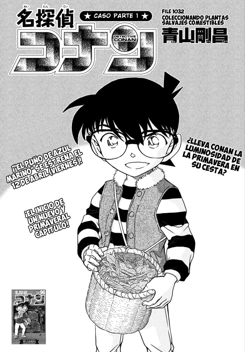 Read Detective Conan ES Manga Online
