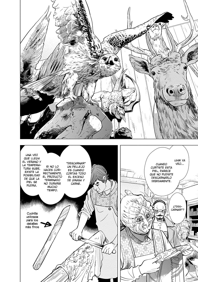 Read Golden Kamuy ES Manga Online