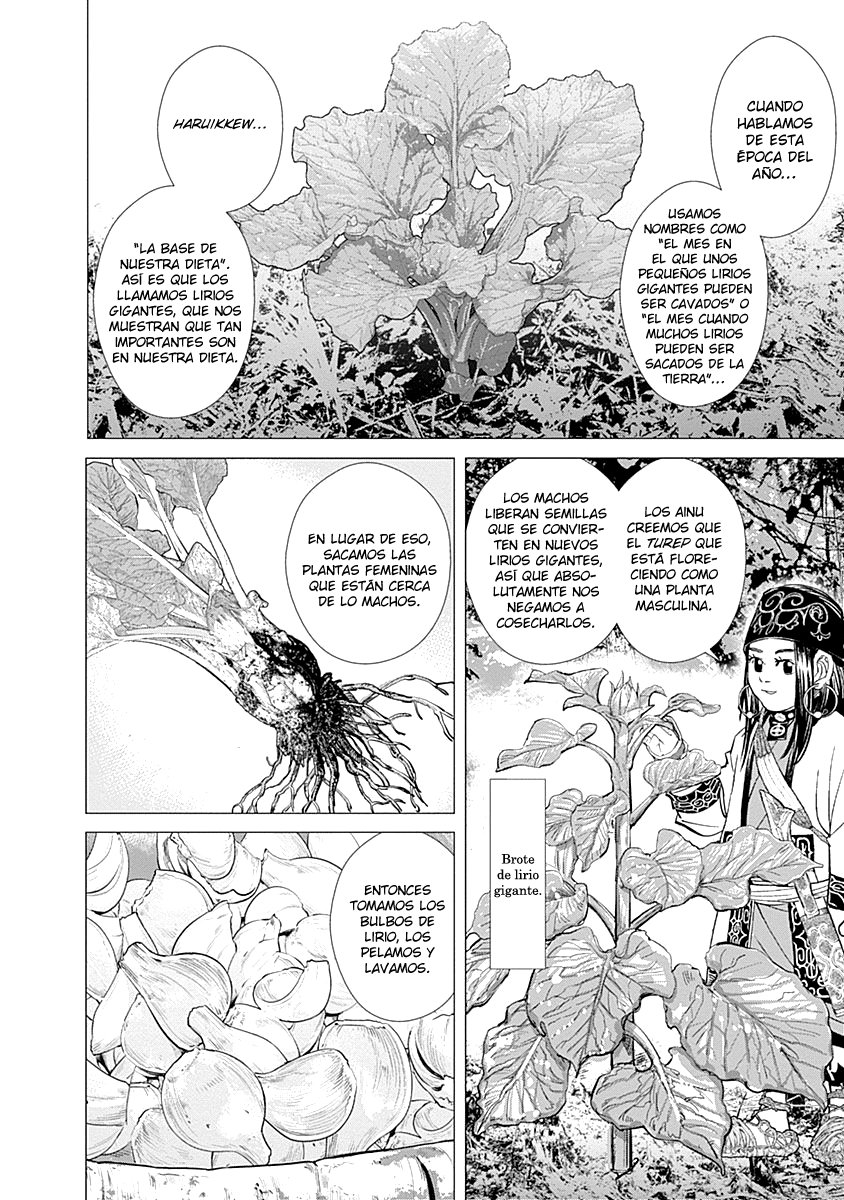 Read Golden Kamuy ES Manga Online