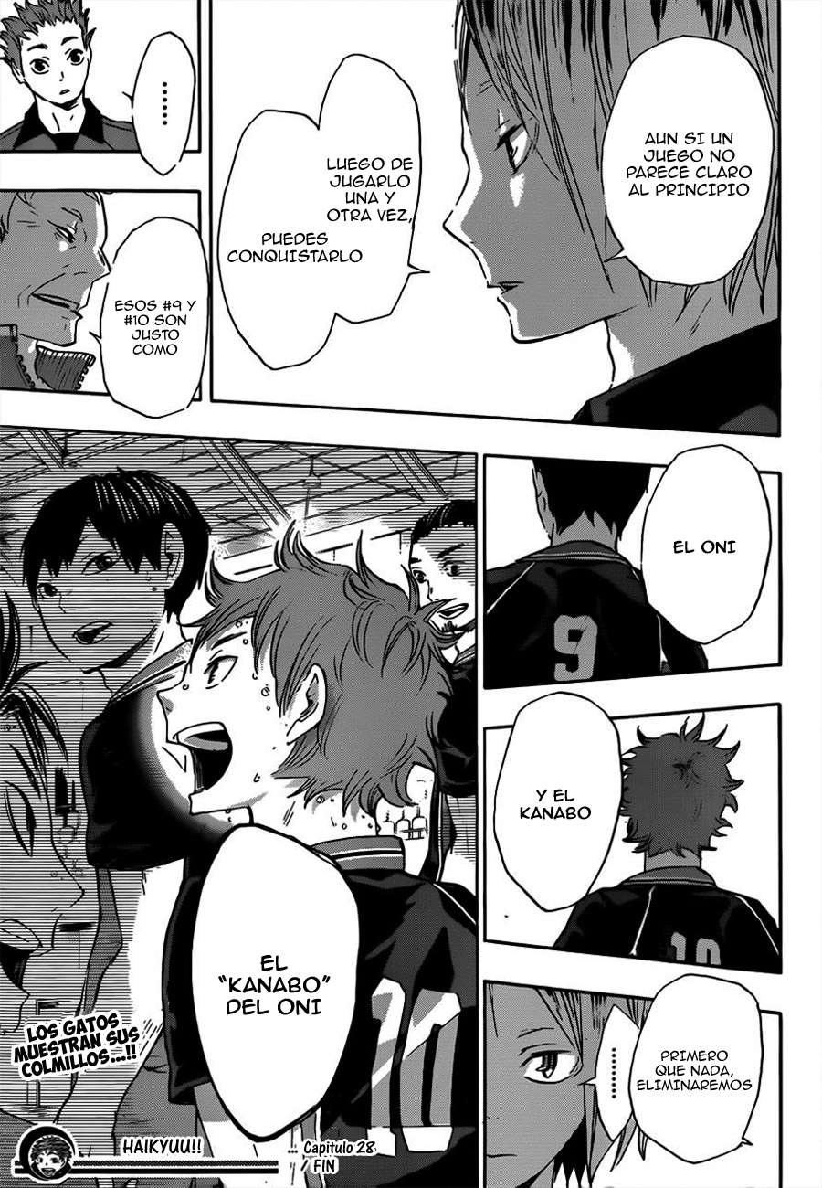 Read Haikyu!! ES Manga Online