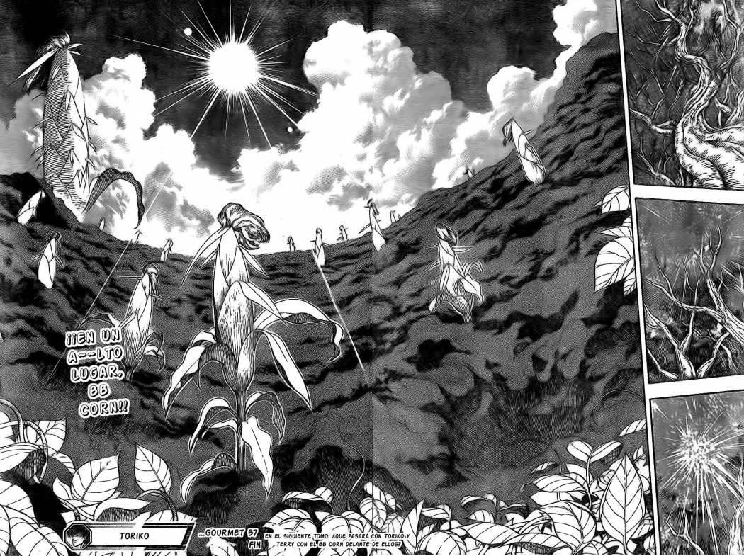Read Toriko ES Manga Online