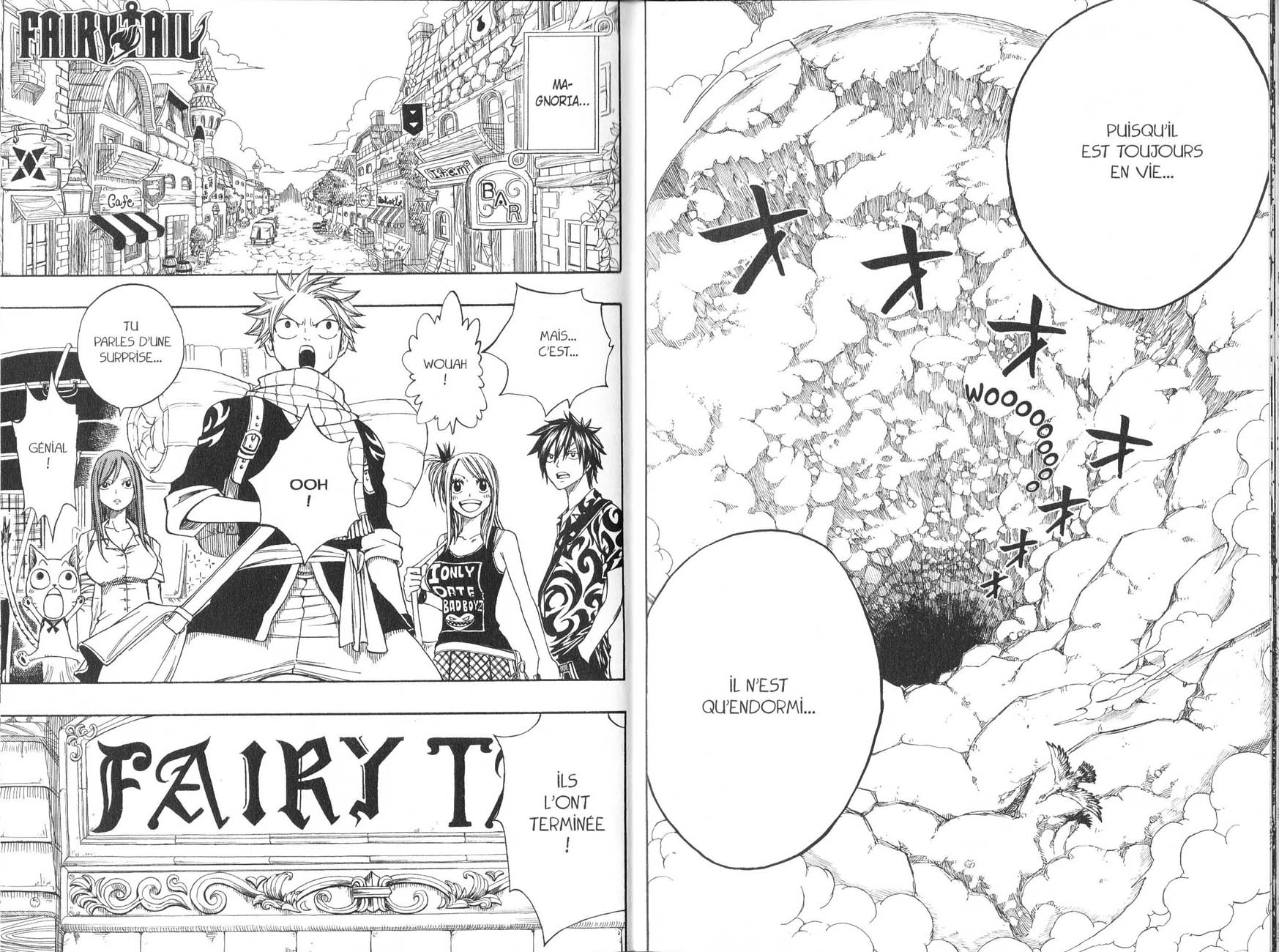 Read Fairy Tail FR Manga Online