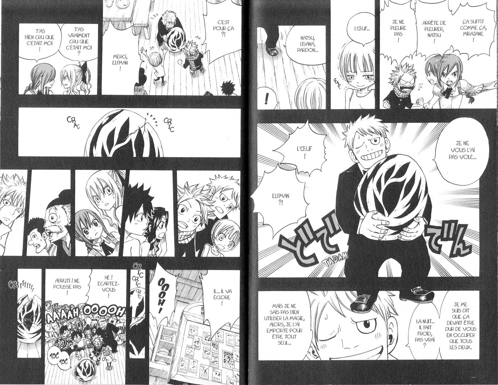 Read Fairy Tail FR Manga Online