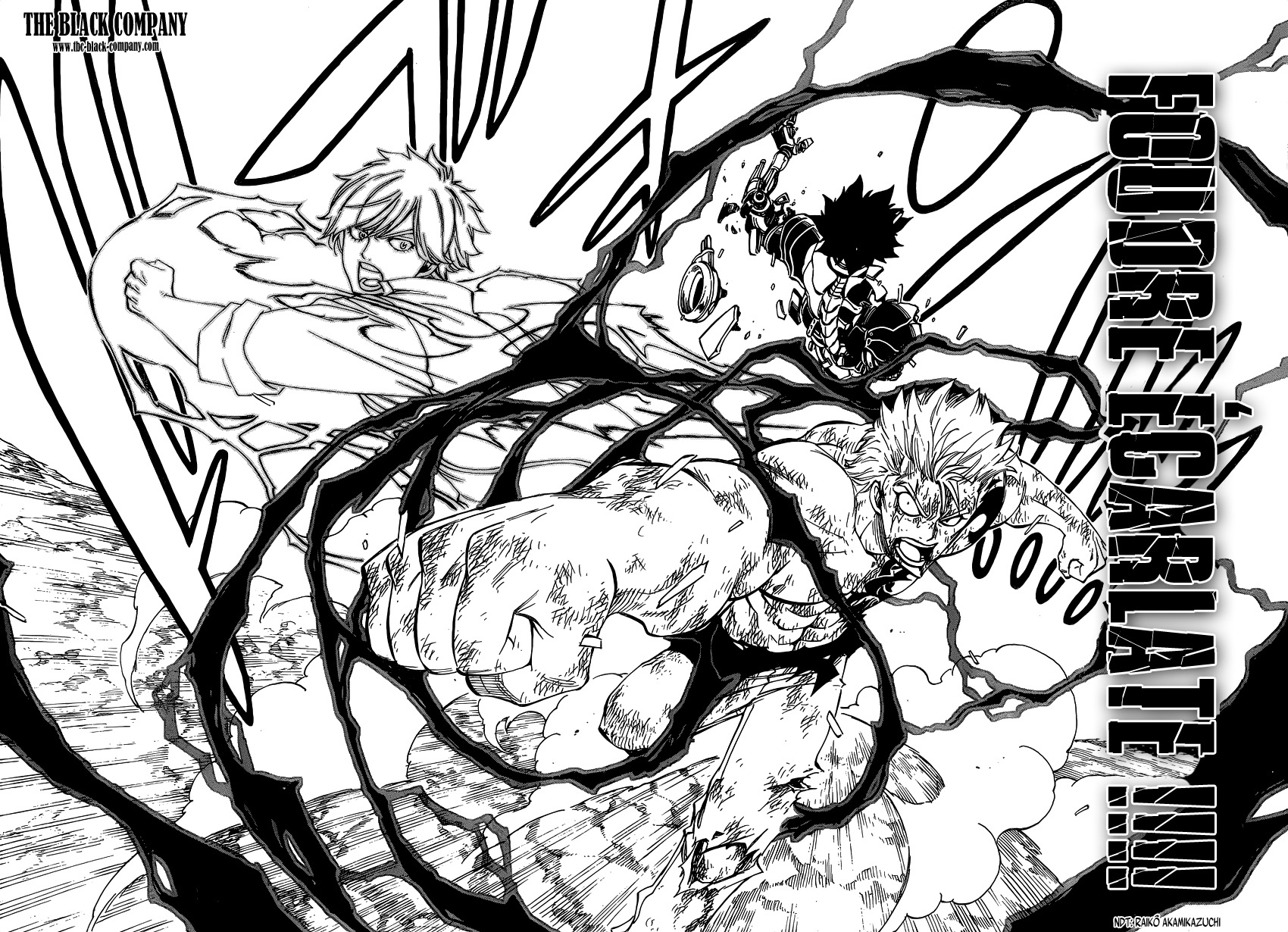 Read Fairy Tail FR Manga Online