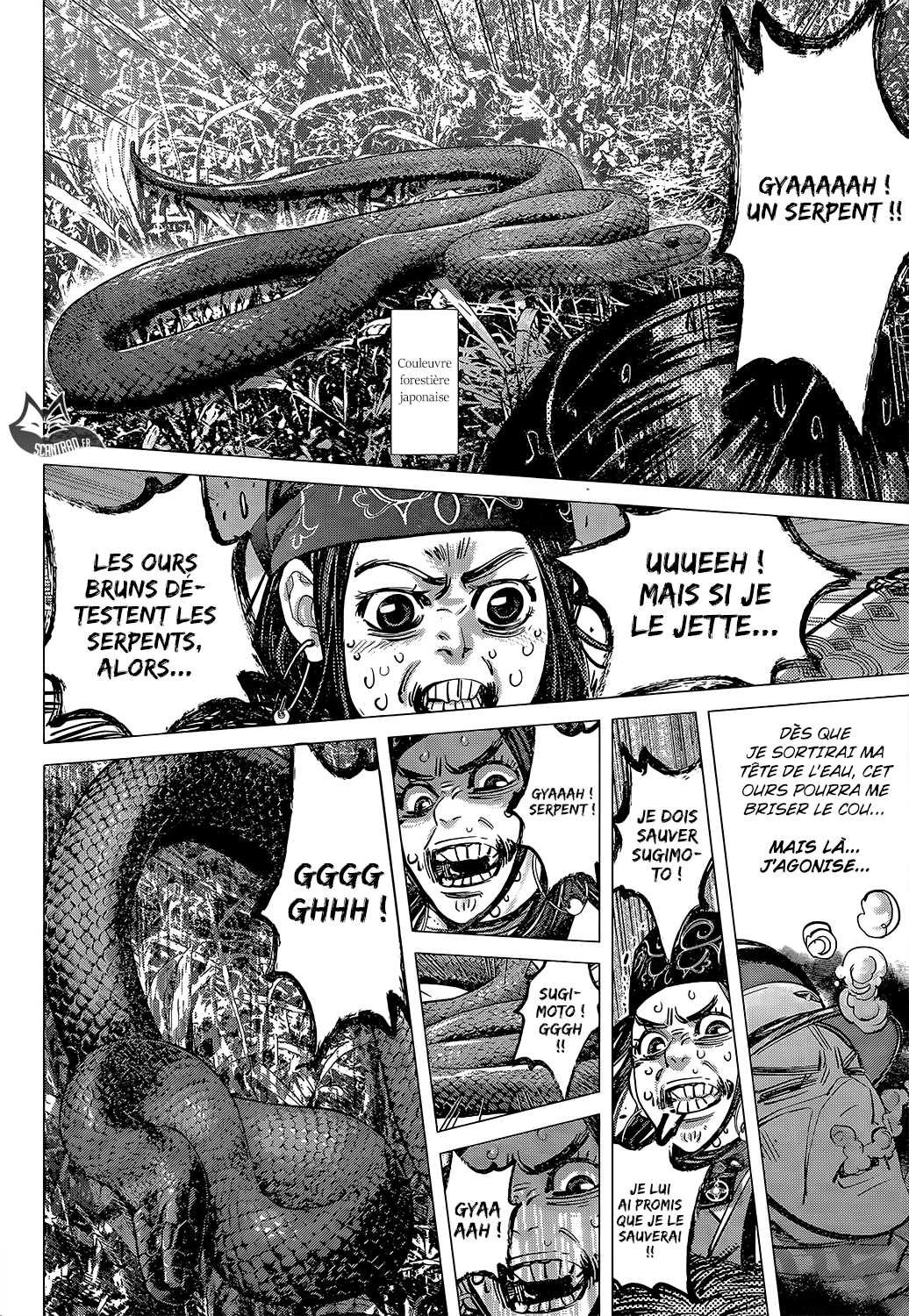 Read Golden Kamuy FR Manga Online