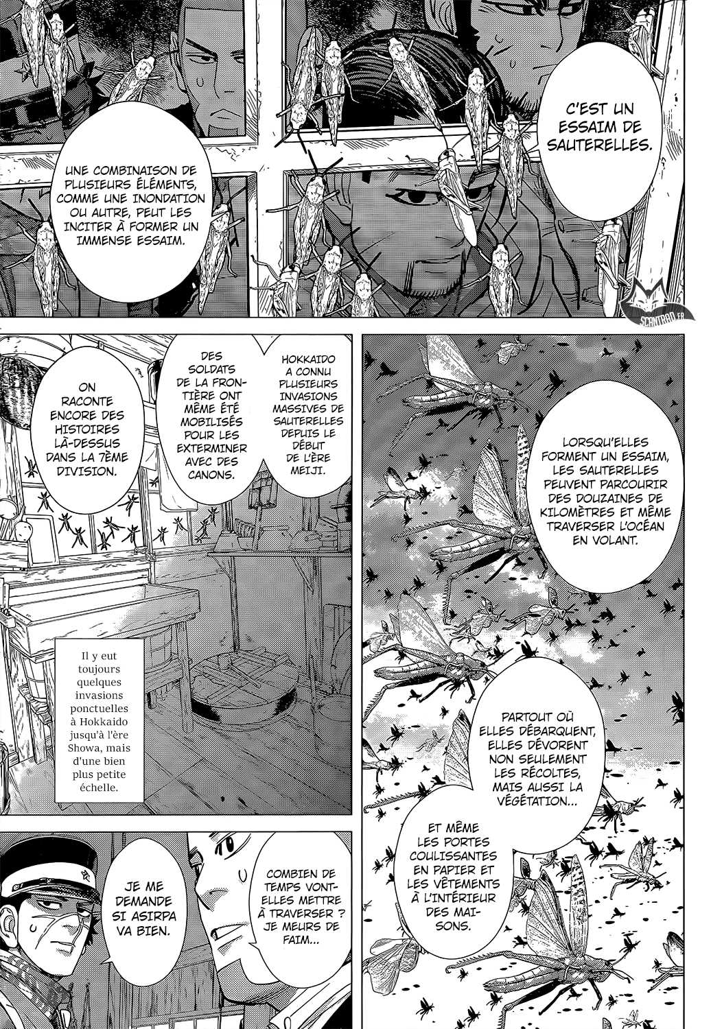 Read Golden Kamuy FR Manga Online