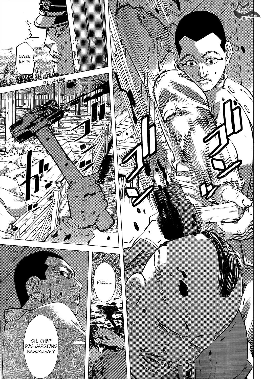 Read Golden Kamuy FR Manga Online