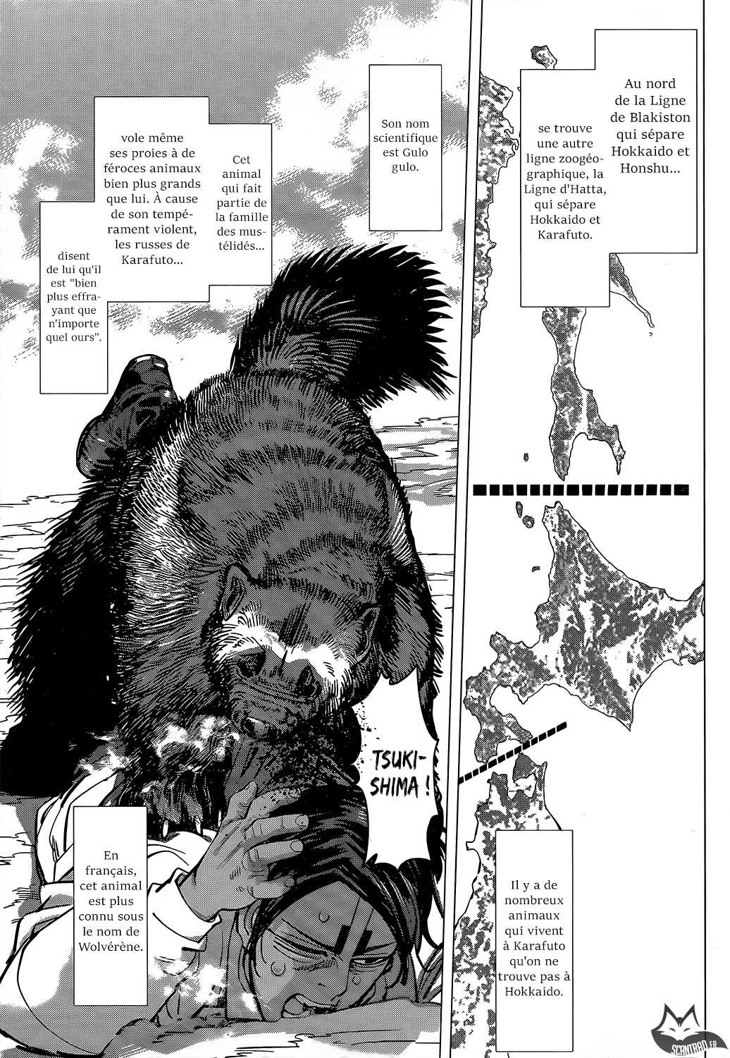 Read Golden Kamuy FR Manga Online