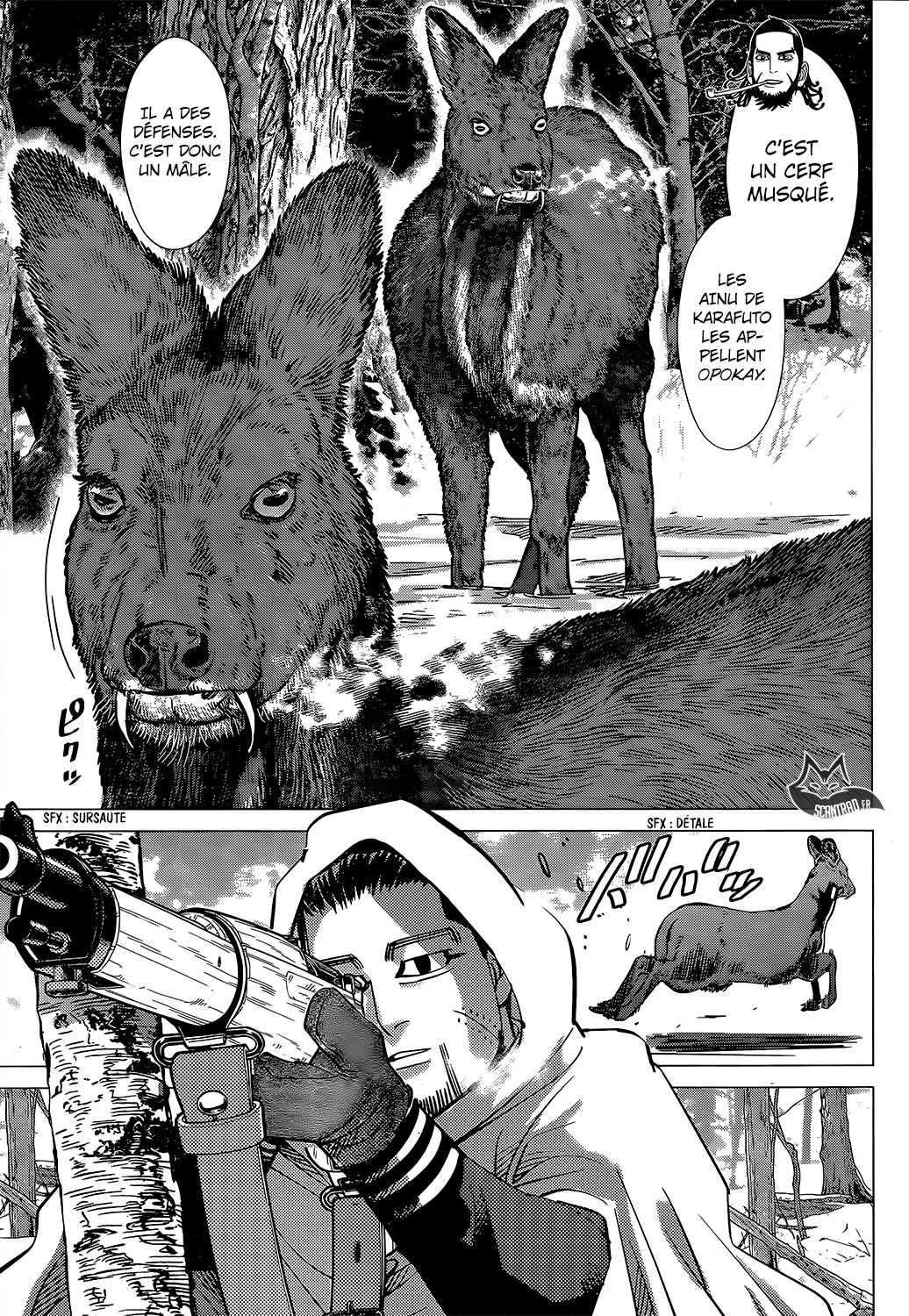Read Golden Kamuy FR Manga Online
