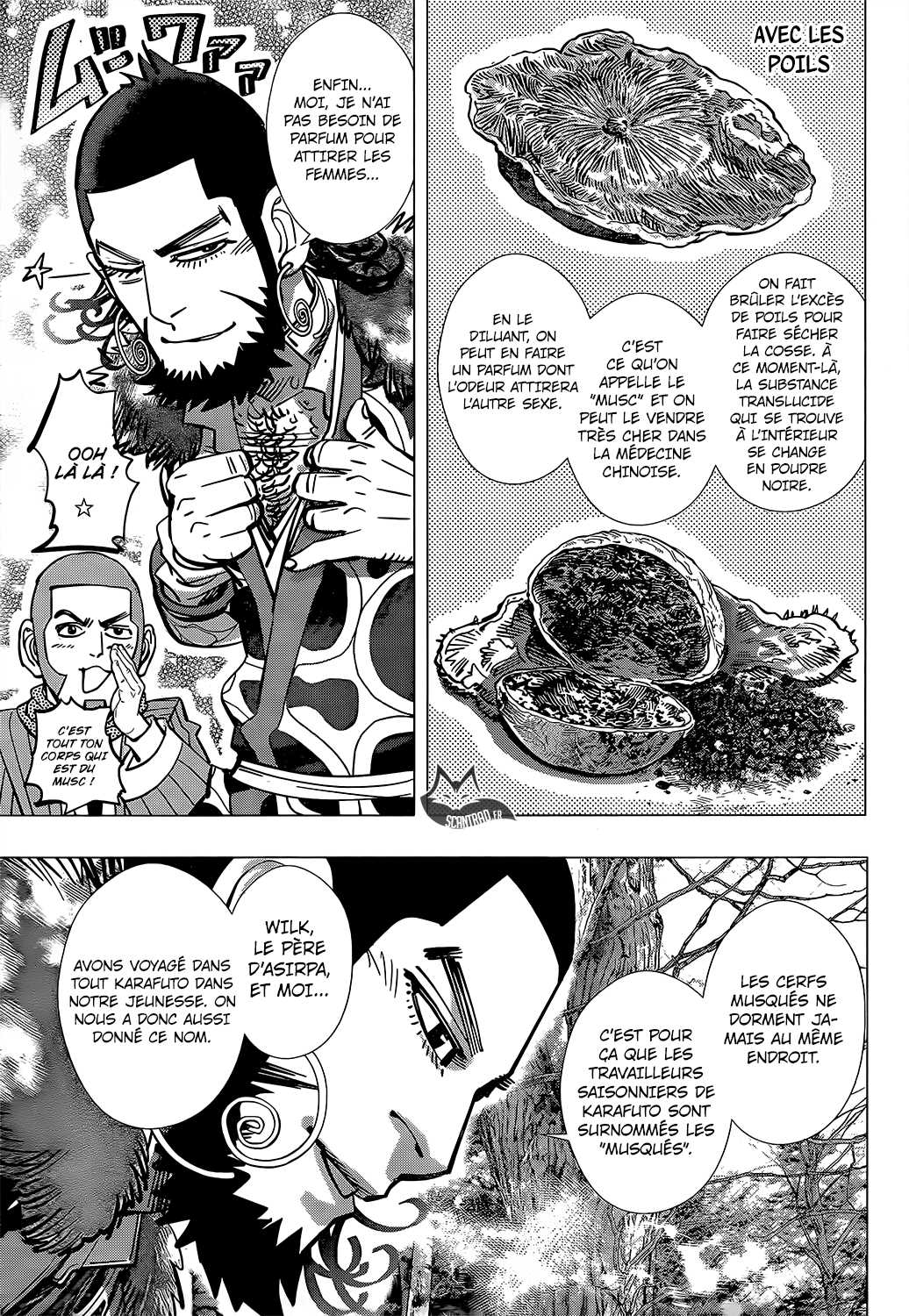 Read Golden Kamuy FR Manga Online