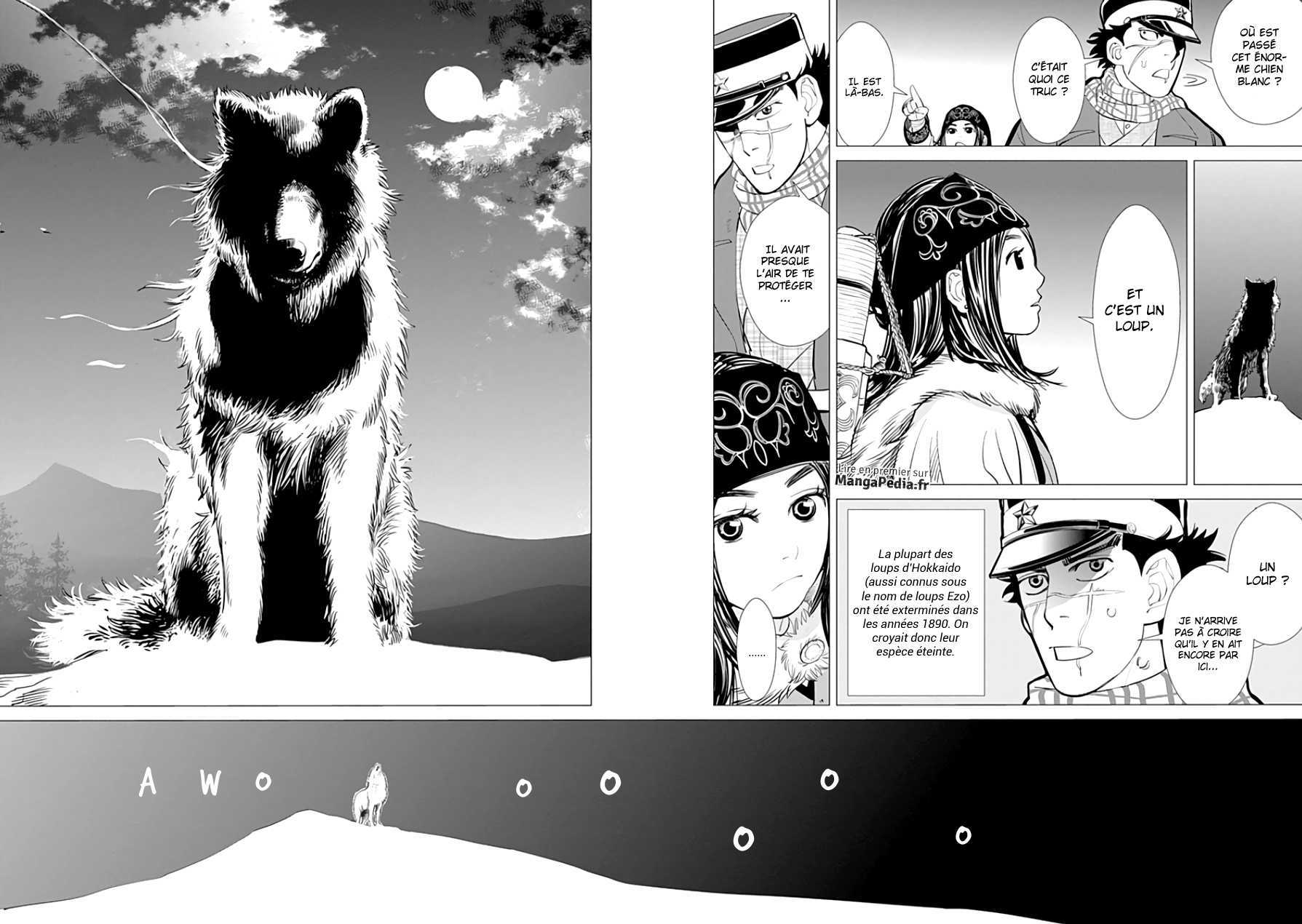 Read Golden Kamuy FR Manga Online