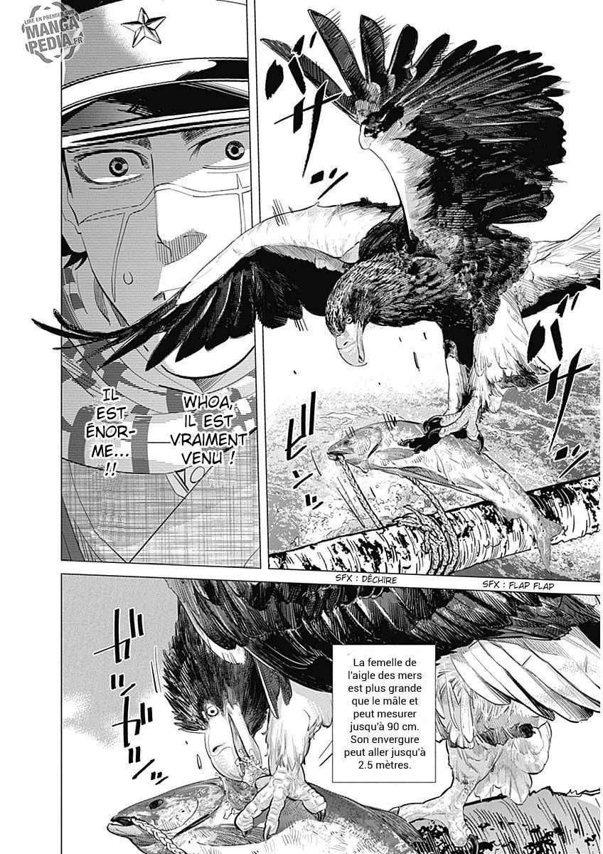 Read Golden Kamuy FR Manga Online