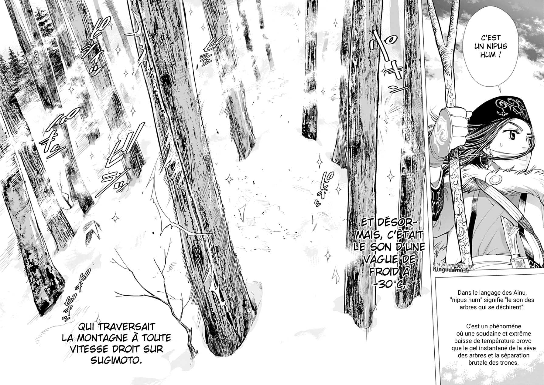 Read Golden Kamuy FR Manga Online