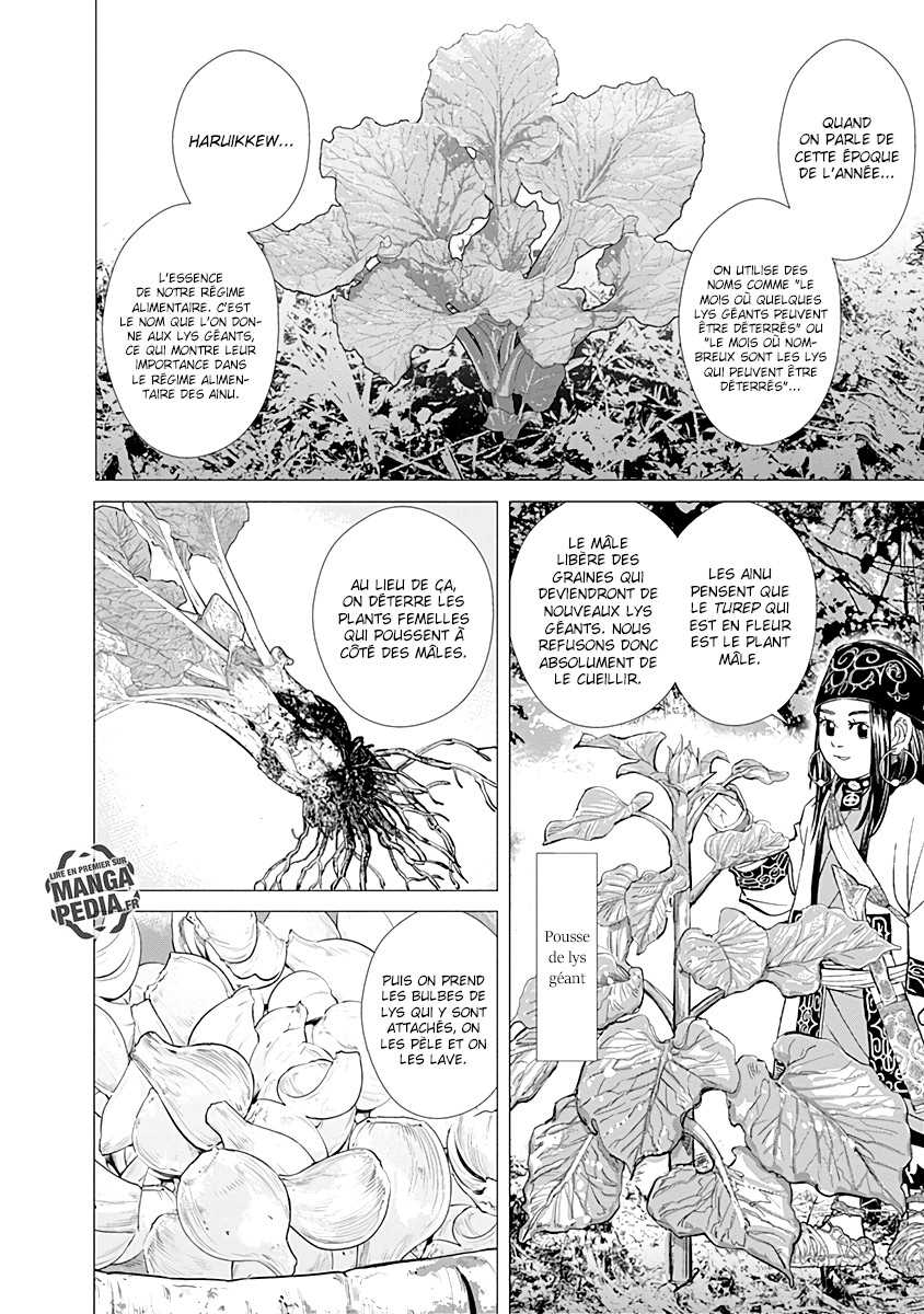 Read Golden Kamuy FR Manga Online