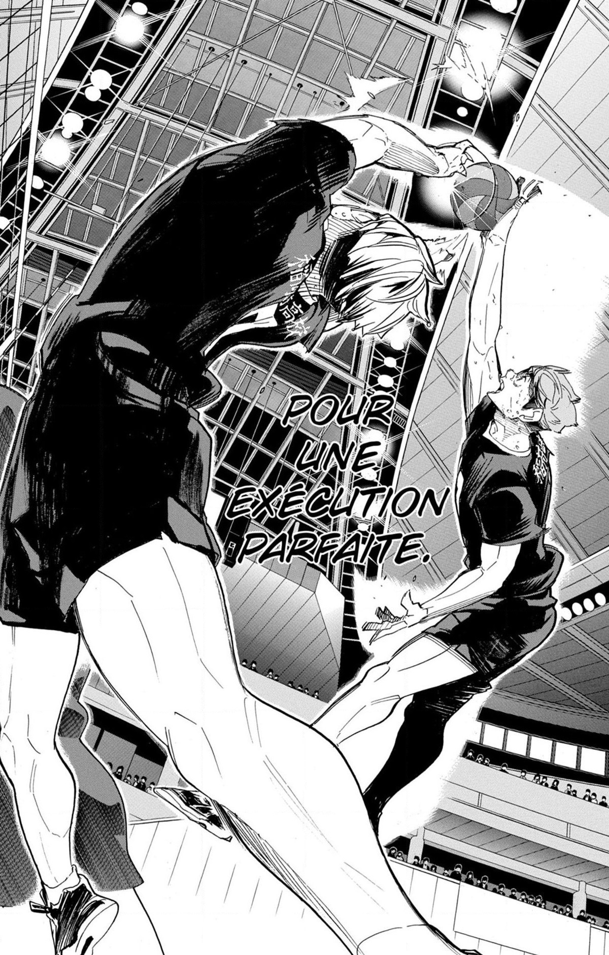 Read Haikyuu FR Manga Online