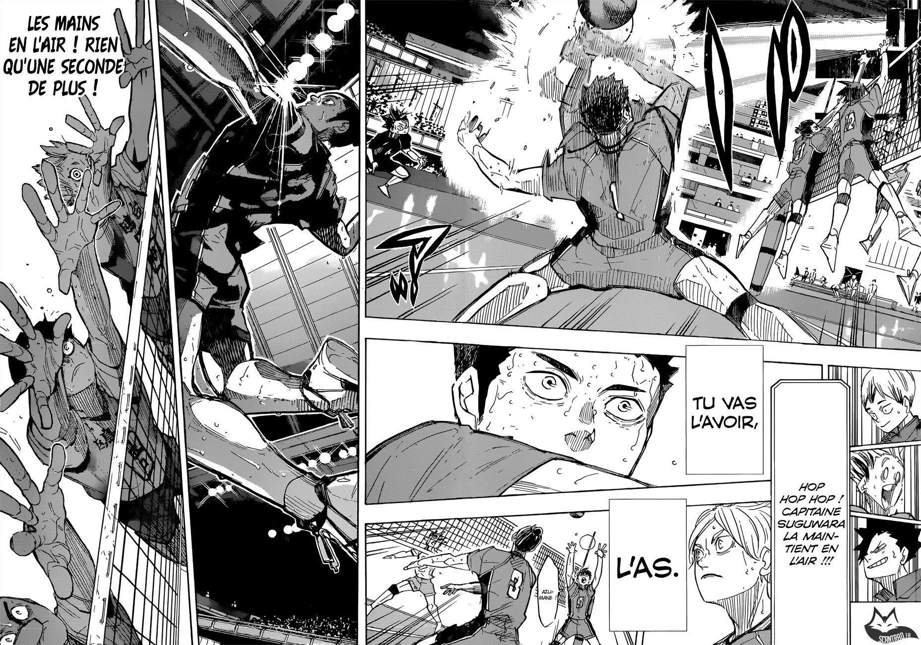 Read Haikyuu FR Manga Online