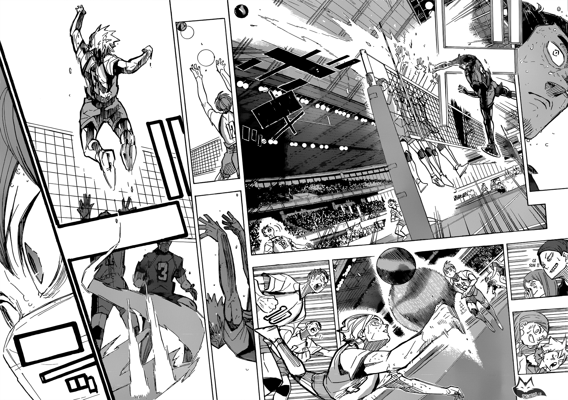 Read Haikyuu FR Manga Online