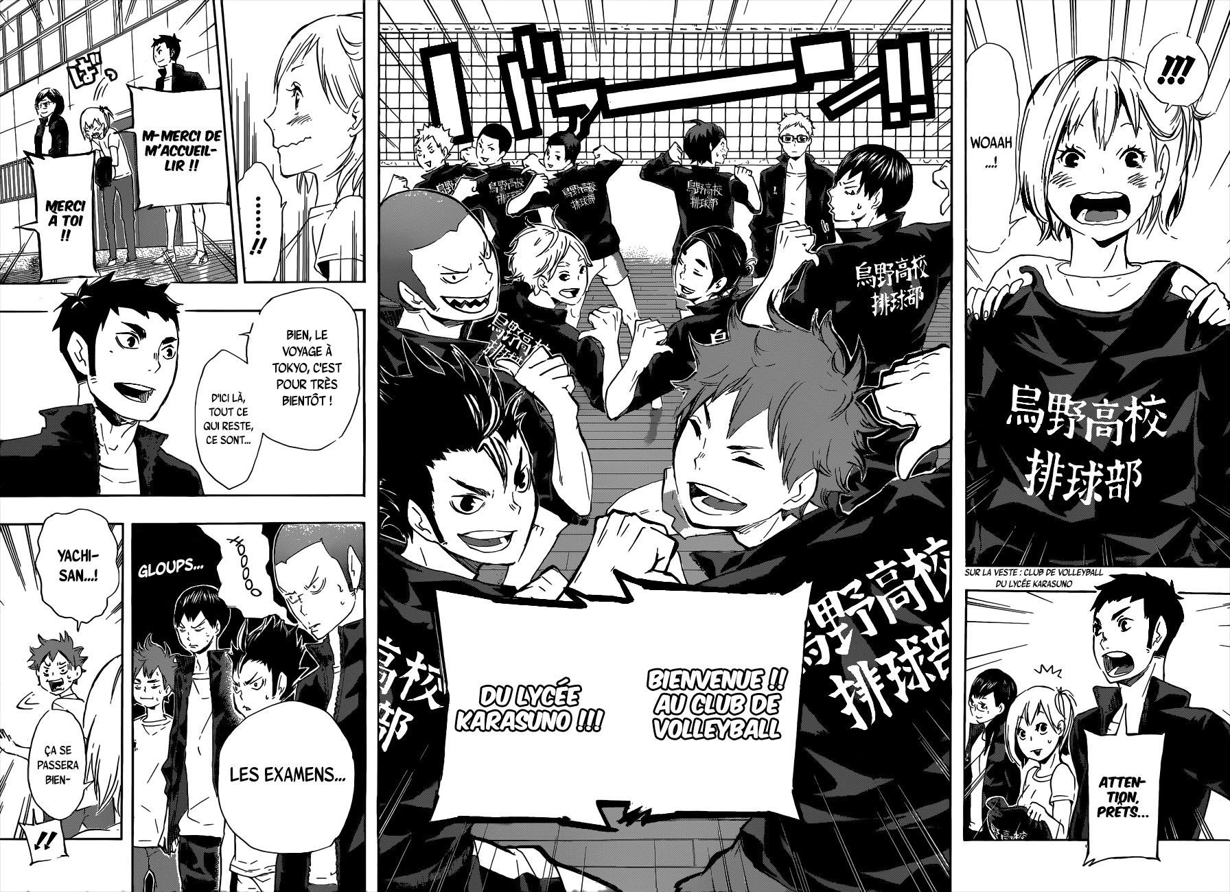 Read Haikyuu FR Manga Online
